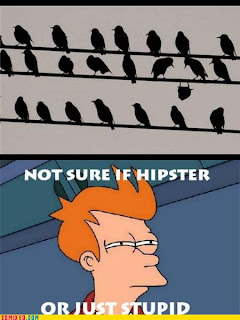 funny pic birds on a wire