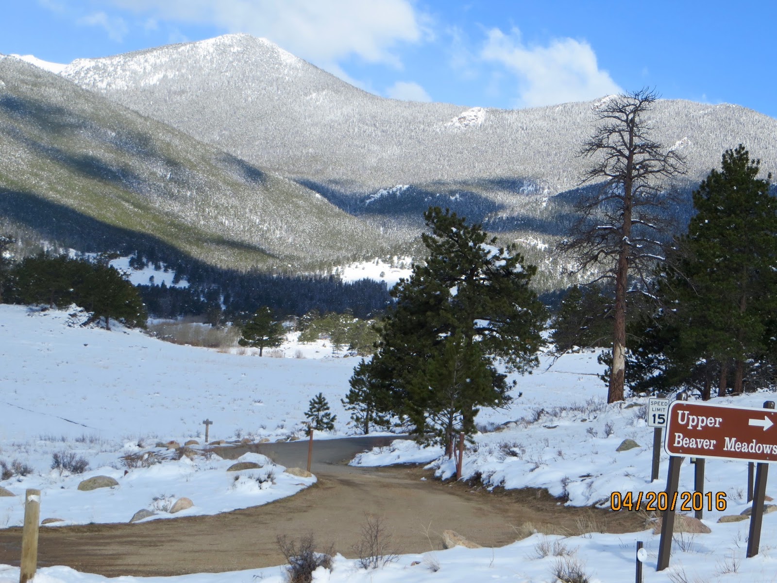 Adventures in Hiking (& other stuff) RMNP Upper Beaver Meadows