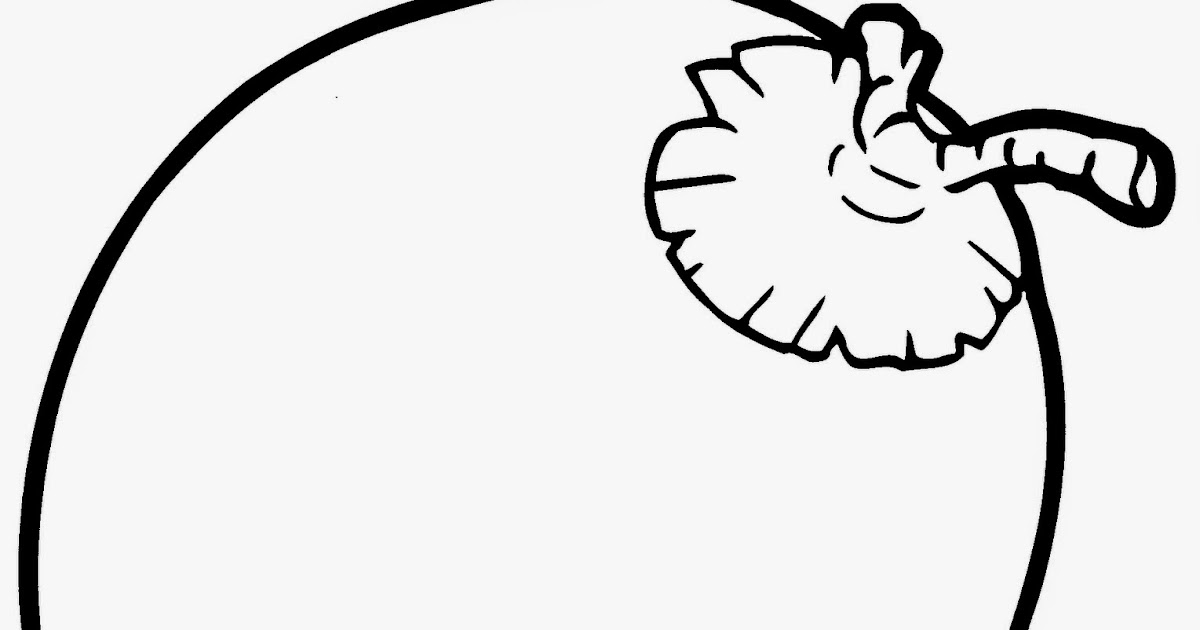 52 Gambar Mewarnai Buah Kelapa Trend Saat Ini