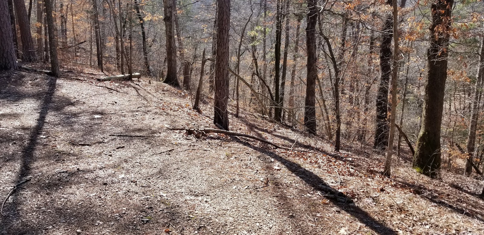 Rick's Hiking Blog Tea Kettle Falls and Reynolds Hollow Falls, Madison