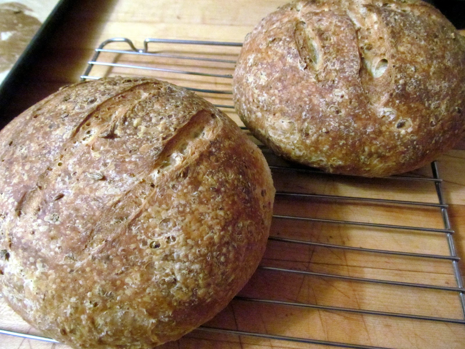 Adventures of a Whole Wheat Pastafarian Recipe AleBarm Bread (beer