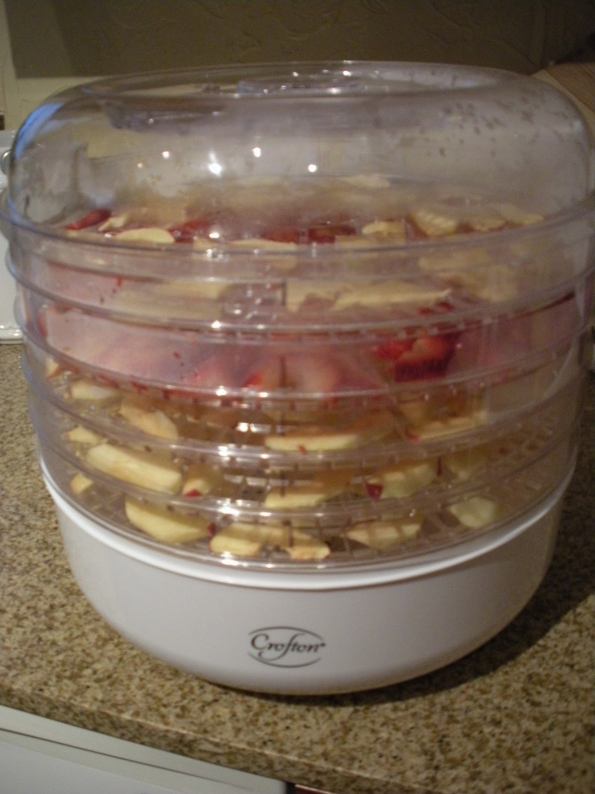 Bike Run Yoga Crofton Food Dehydrator makes great snacks for cheap!