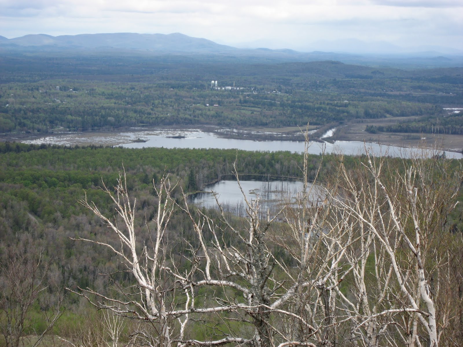 Tag Archive For Adirondack Daily Enterprise The Adirondack Almanack