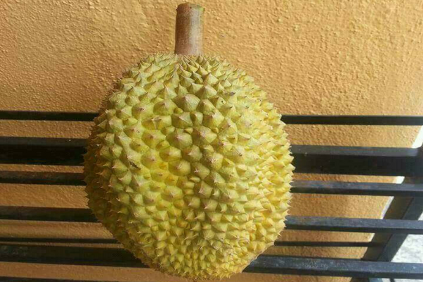 Pria ini Beli Durian Seharga 15 Ribu, Saat Dibuka Isinya Bikin Nangis Lihatnya Pria ini Beli Durian Seharga 15 Ribu, Saat Dibuka Isinya Bikin Nangis Lihatnya