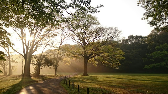 下水清掃を強制されるインディアンの生活を衝撃的な写真が明らかに