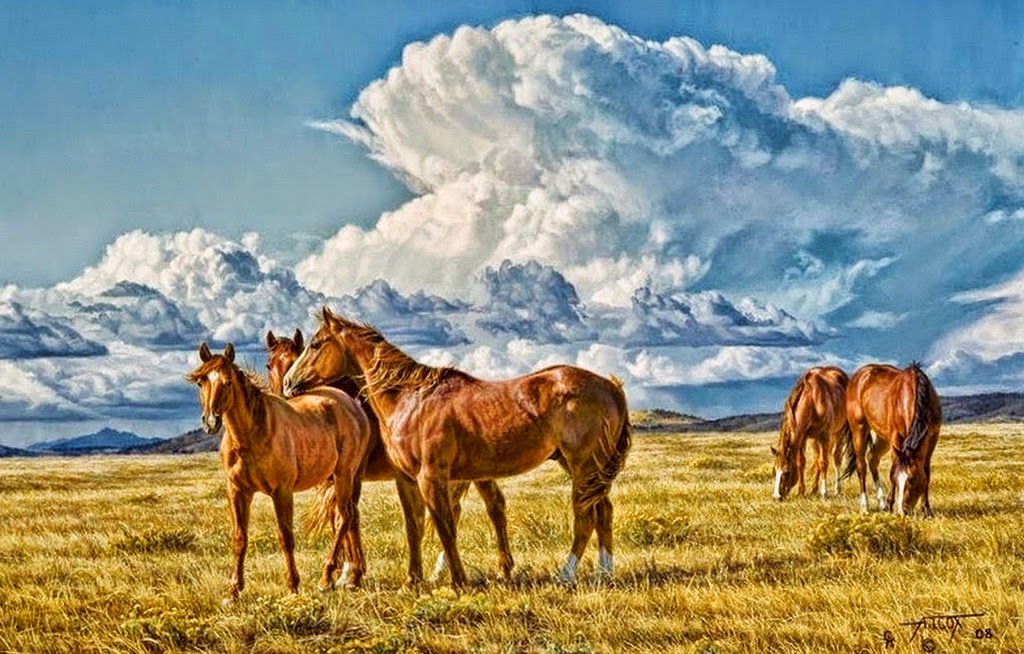 pinturas-y-fotos-de-caballos-salvajes