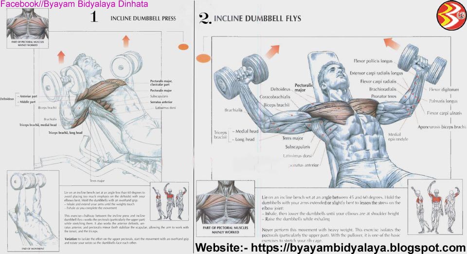 Byayam Bidyalaya: The Perfect Exercise Posture