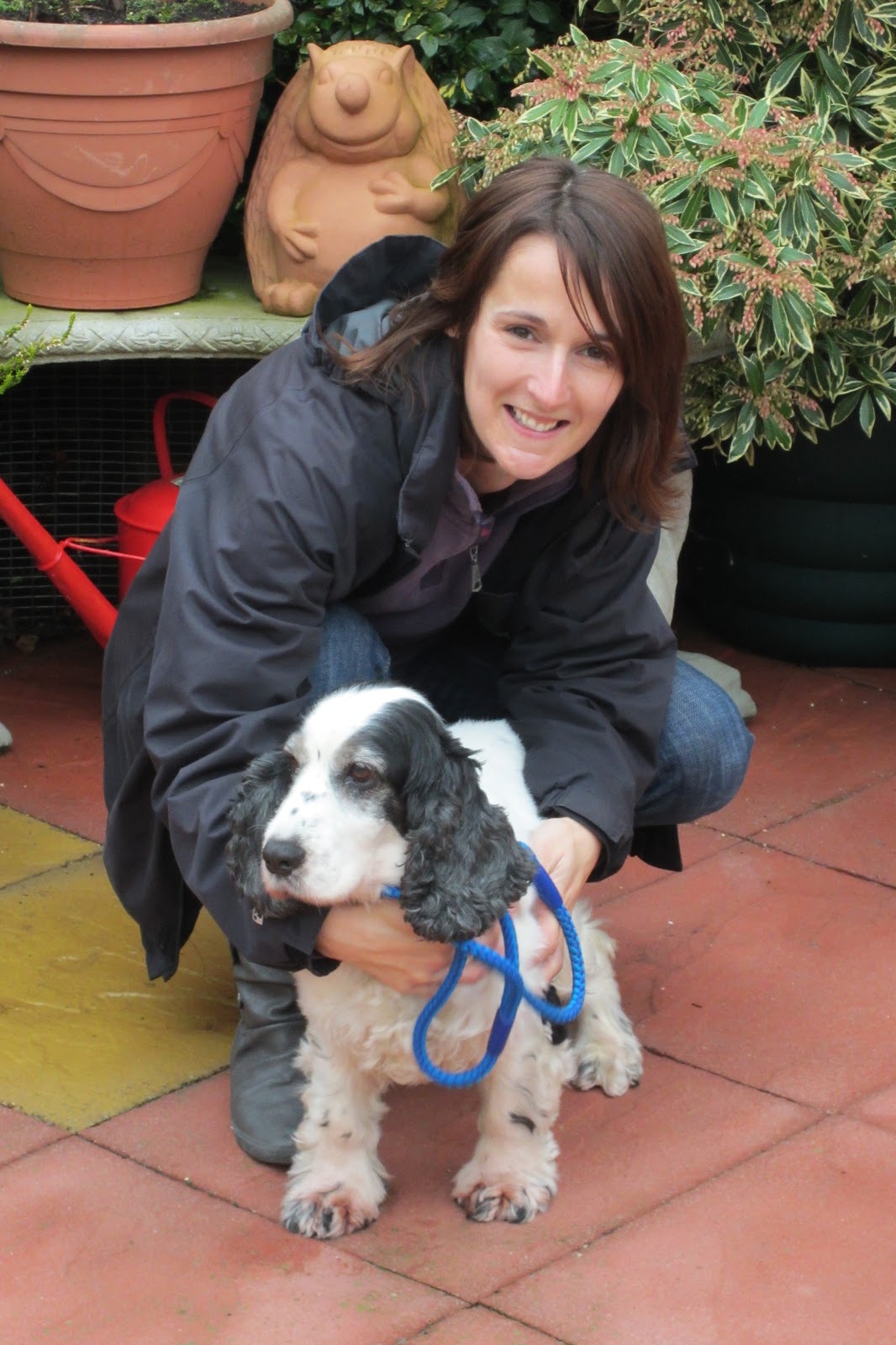 Holiday Dogs News Walkies Dog Walking, Kesgrave, Ipswich, Woodbridge