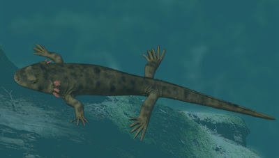 amphibia extinta Chunerpeton