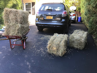 Straw delivery