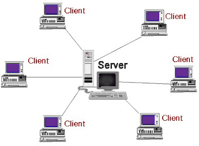 Basic Networking: Network Operating System (NOS)