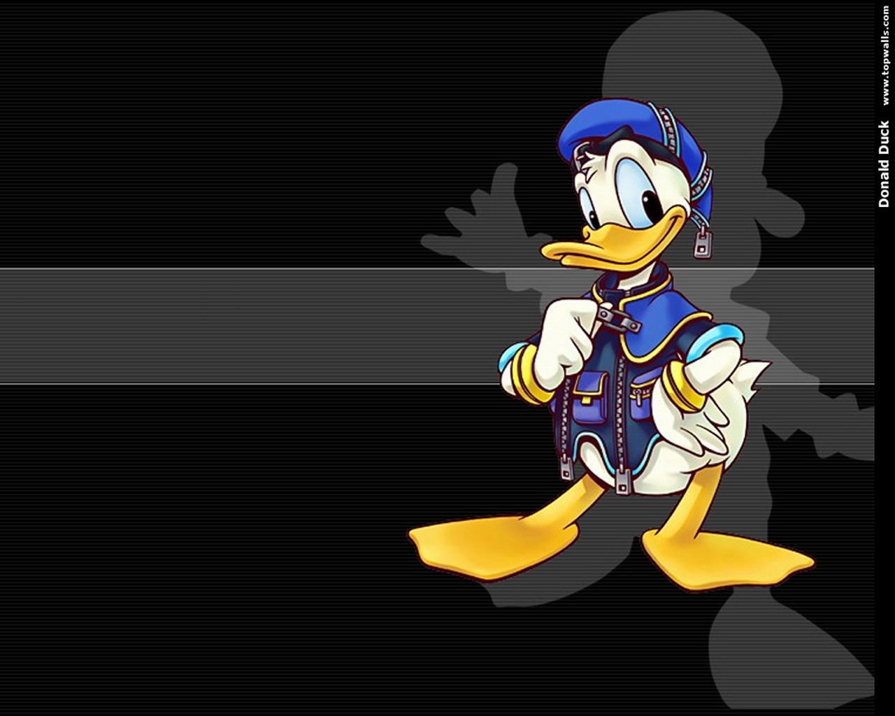 Animation Pictures Wallpapers: Donald Duck Wallpapers
