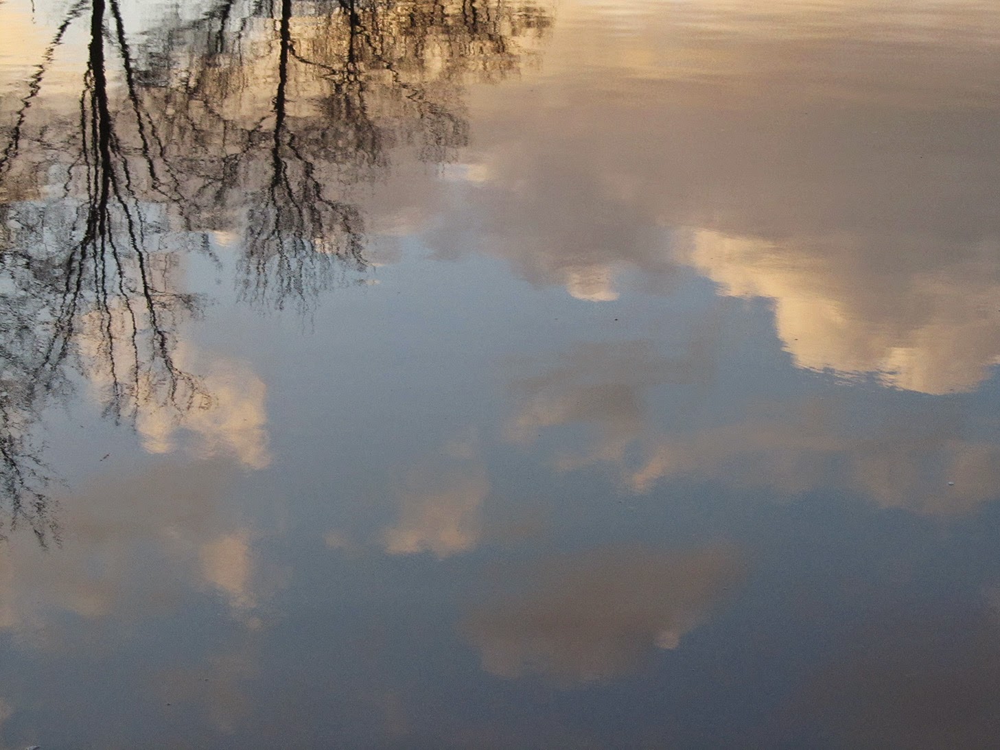 reflected clouds and trees in water