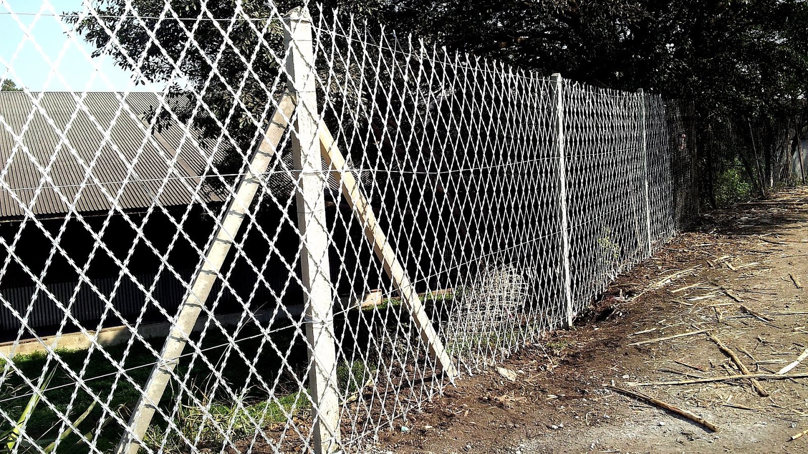 Barbed tape Razor Fence Fence Choices