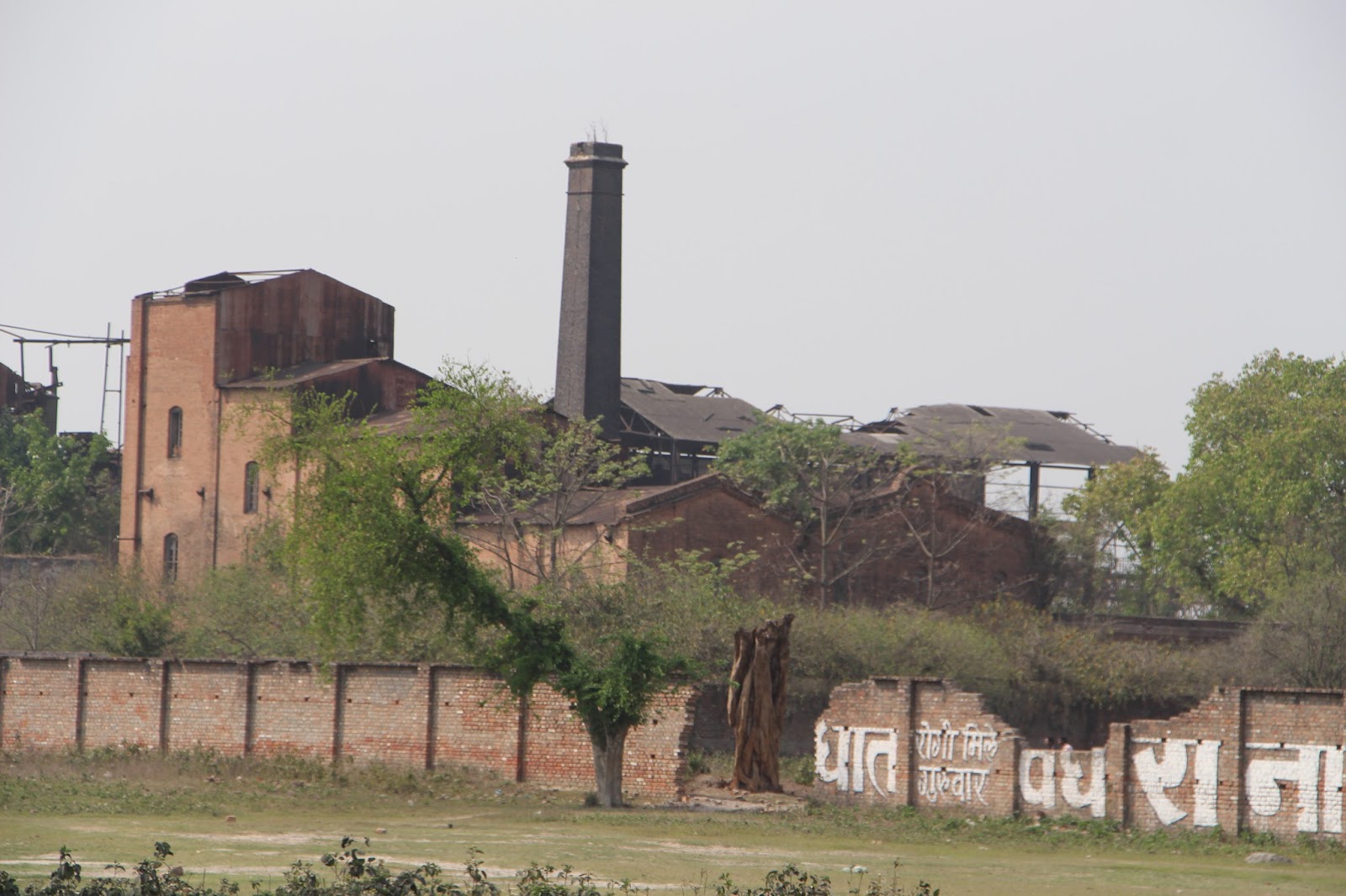 Morton Toffee Factory, Marhowrah , Bihar