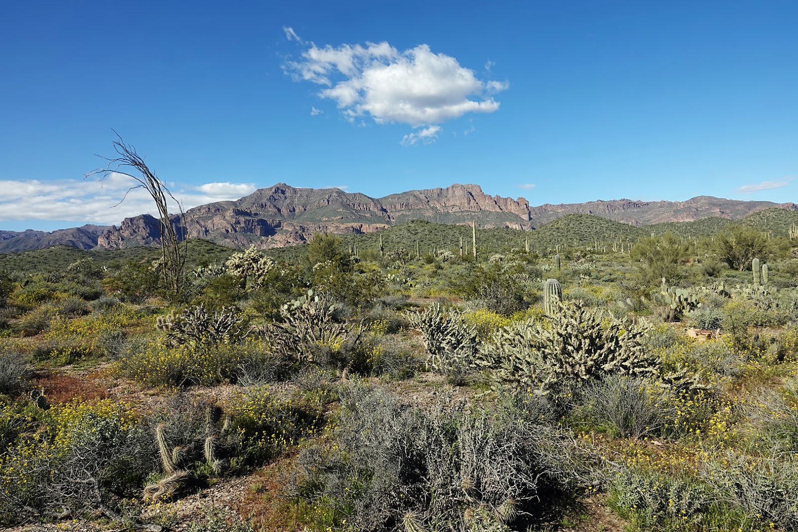 Stan's Travels Apache Junction, Goldfield & Tortilla Flat, AZ (3/14 &3