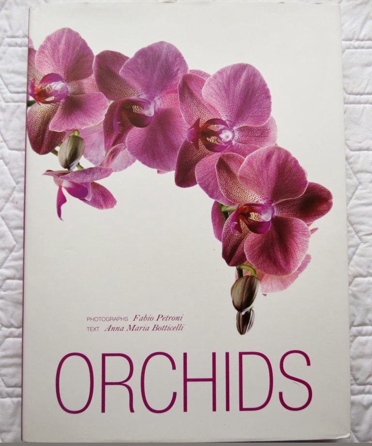 Sweet Bee Buzzings: Orchids: A Review