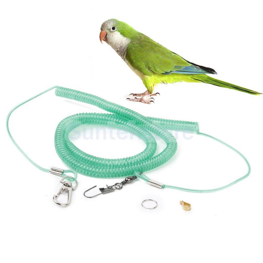 Bird In Everything Leashes For Birds
