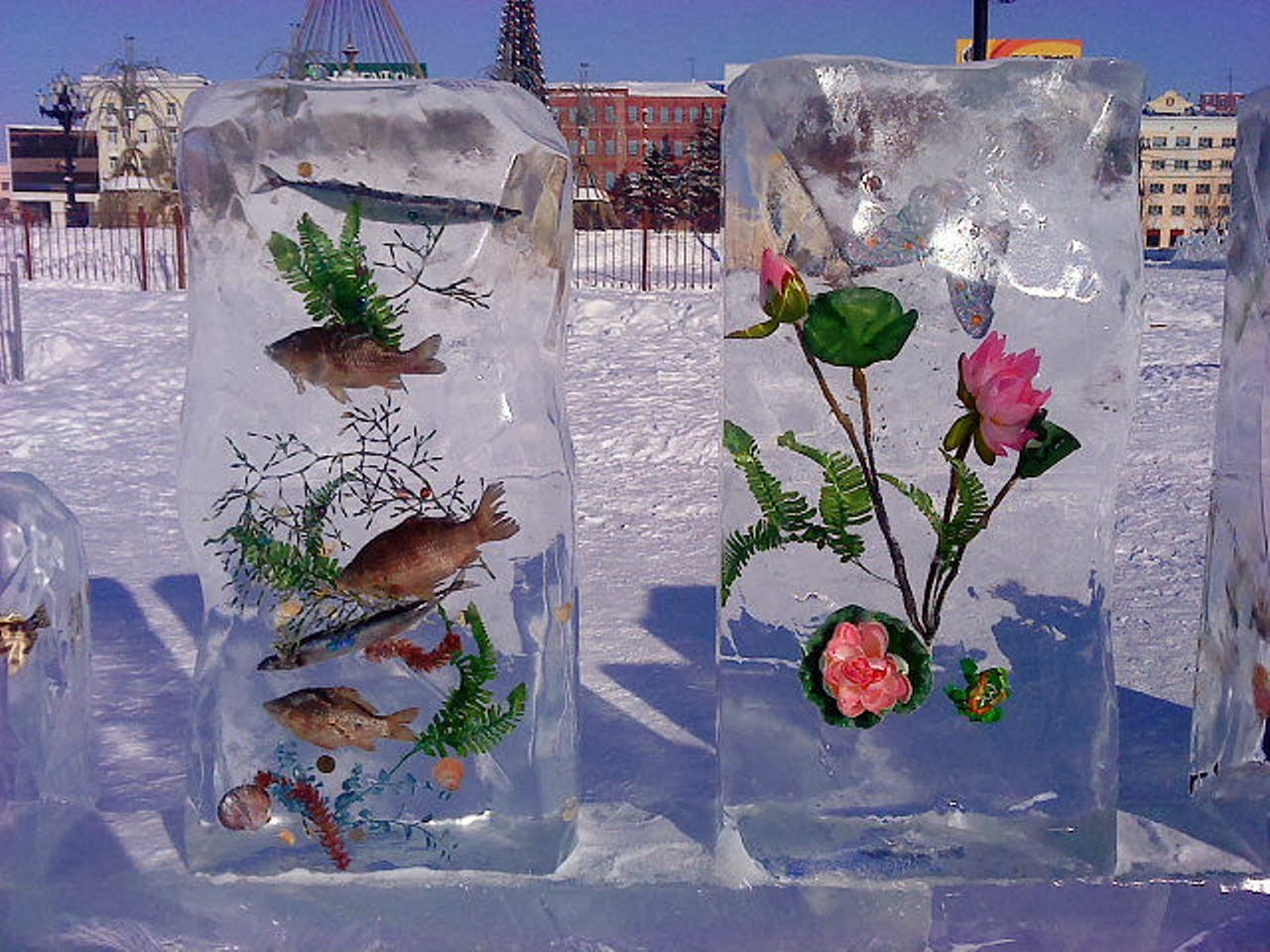 Шарики изо льда. Ледяные украшения для детского сада. Ледяные фигурки для детского сада. Ледяные скульптуры в садик. Украшения из льда для детского сада.