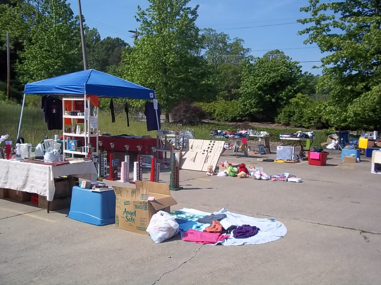 US 50 Yard Sale in Wood Co WV