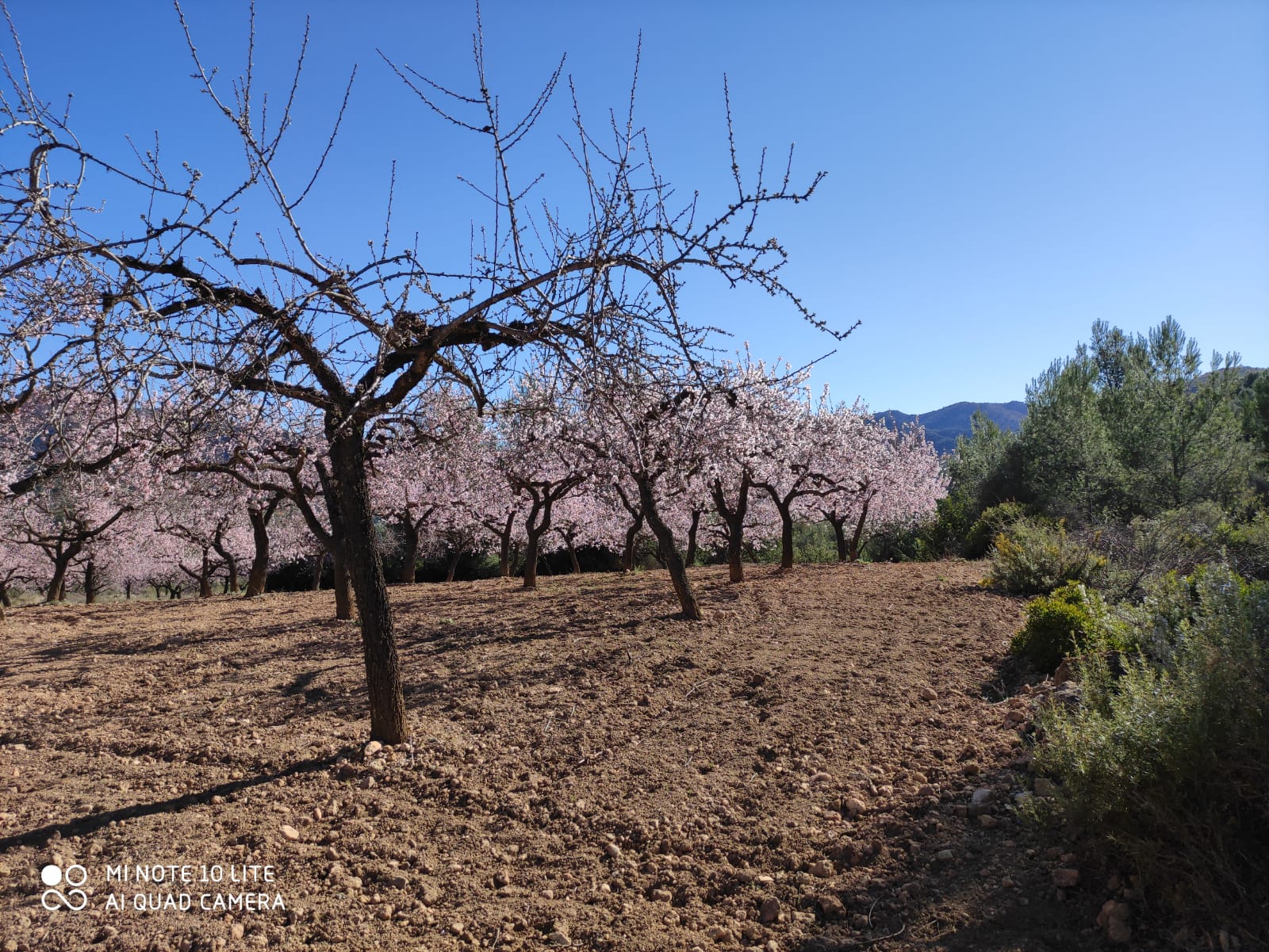 La Vall, febrer 2021