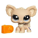 Littlest Pet Shop Singles Chihuahua (#1060) Pet Littlest Pet Shop Singles Chihuahua (#1060) Pet
