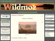 Wildmoz Subscribe