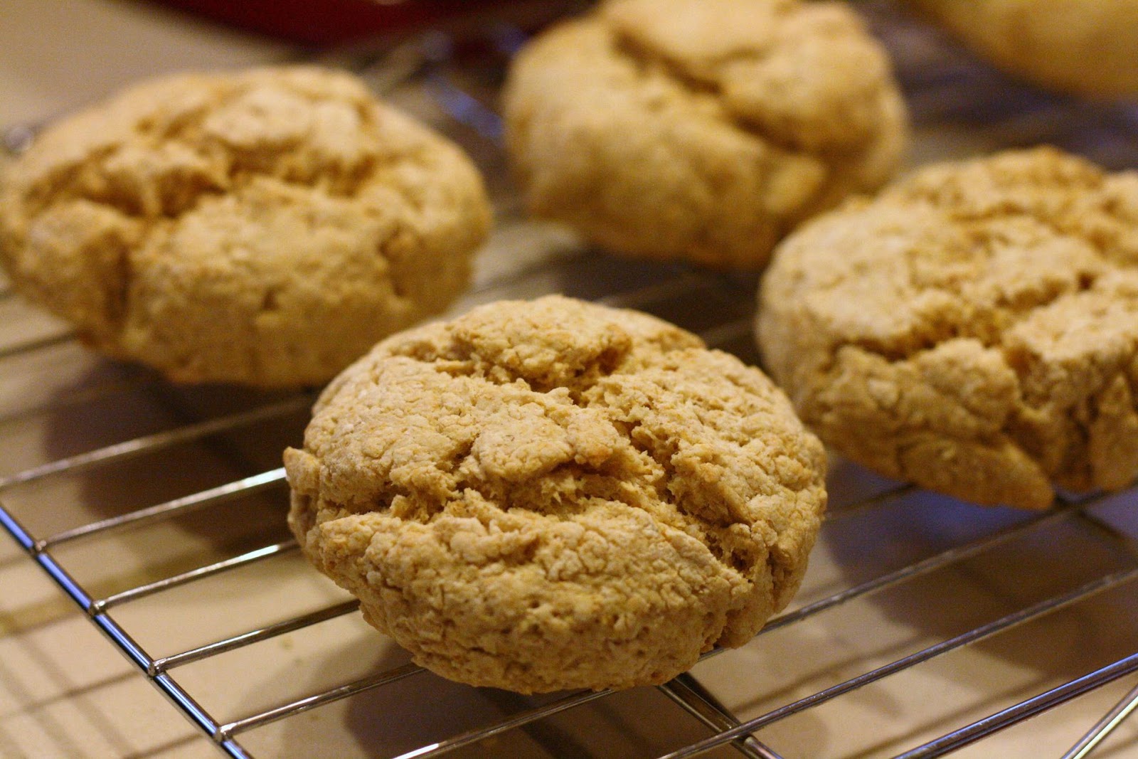 Laine's Recipe Box Whole Wheat Buttermilk Biscuits