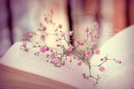 La Vita è Come Un Libro დ**დ Raffaella Frese დ**დ: LA VITA E' COME UN LIBRO TUTTO DA SCRIVERE