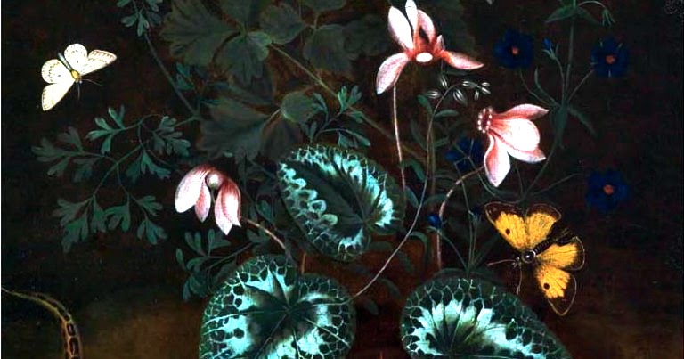 The Painted Prism WOMEN ARTISTS Alida Withoos