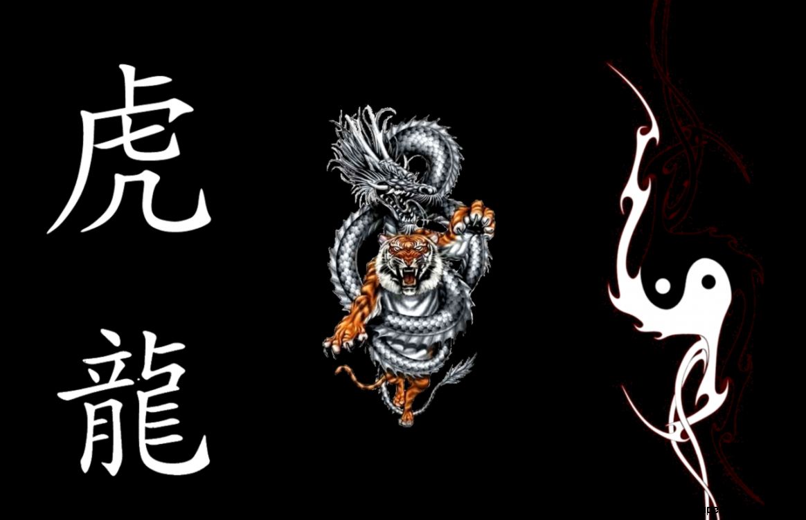 tiger and dragon  Desktop and mobile wallpaper  Wallippo