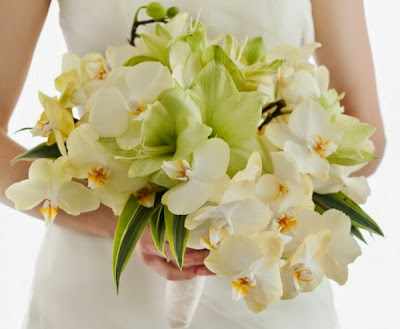 Amaryllis wedding flowers