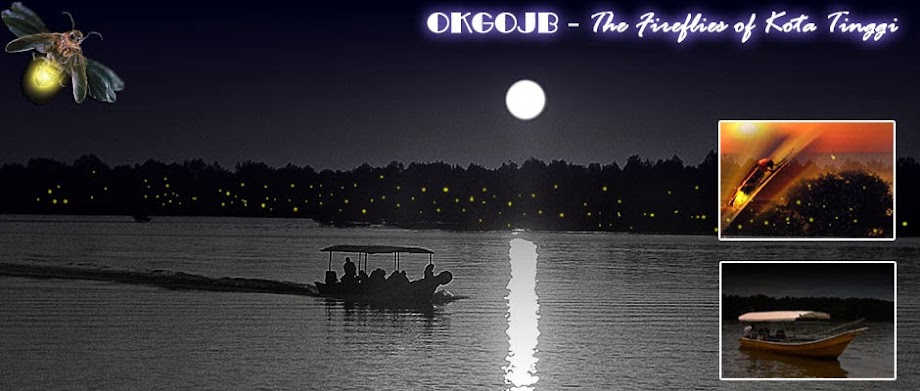 【新山行 NIGHT TOUR】KOTA TINGGI 朴素自然的绿色河岸~住着满满的发光小精灵~让人感动的萤火虫夜之旅