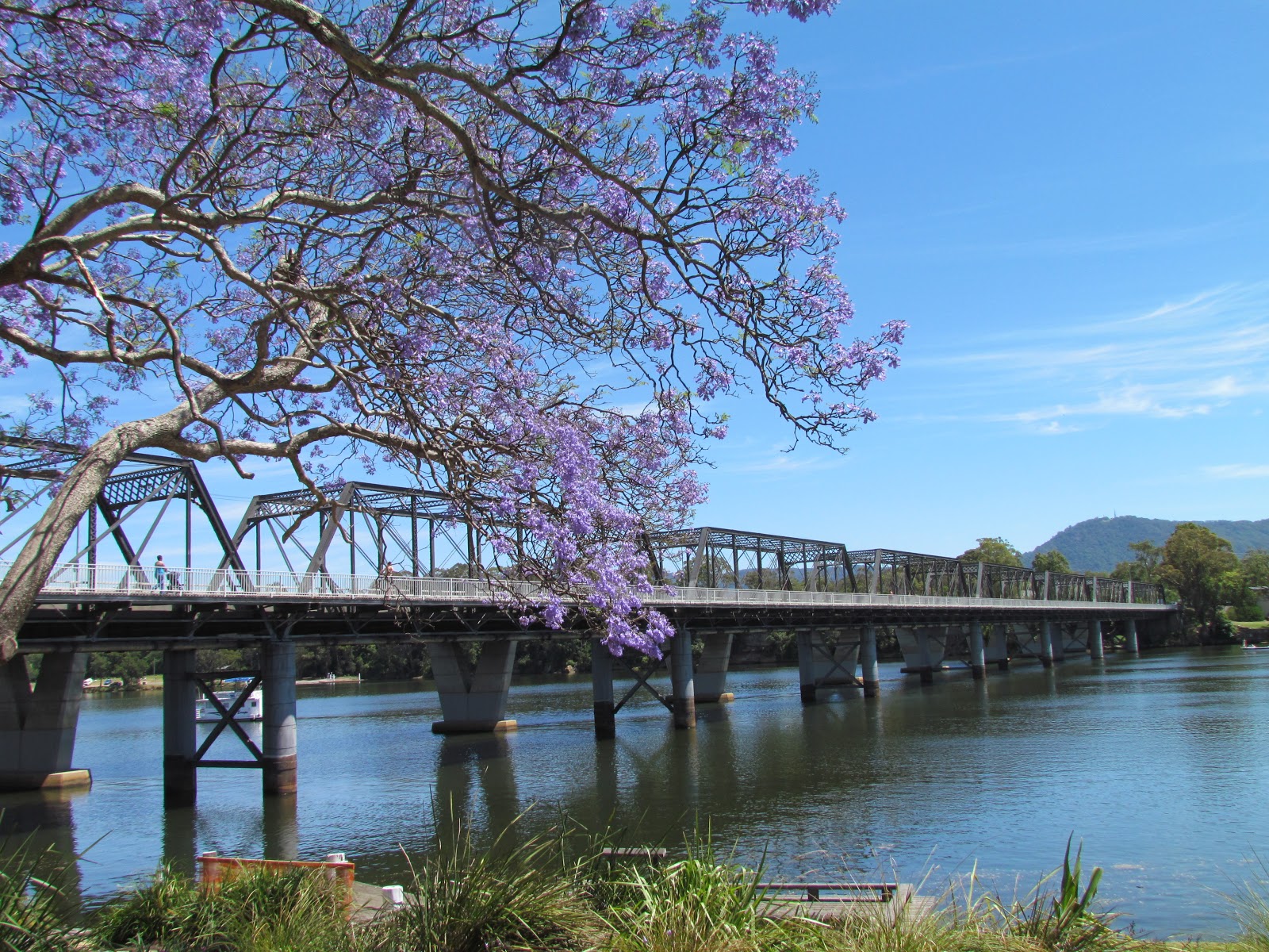 A View Of Sydney Nowra