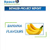 Banana Flavours Manufacturing Project Report