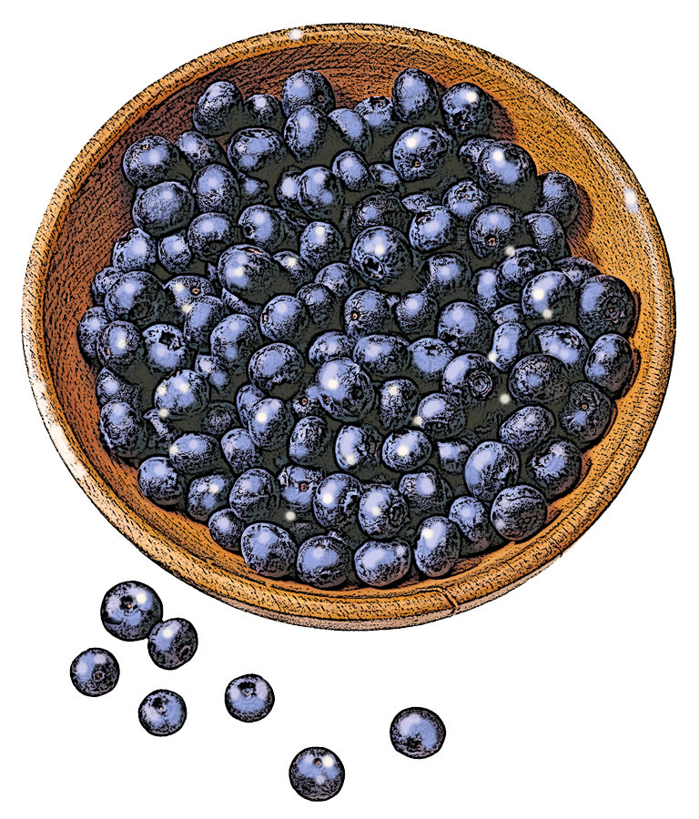 blueberries