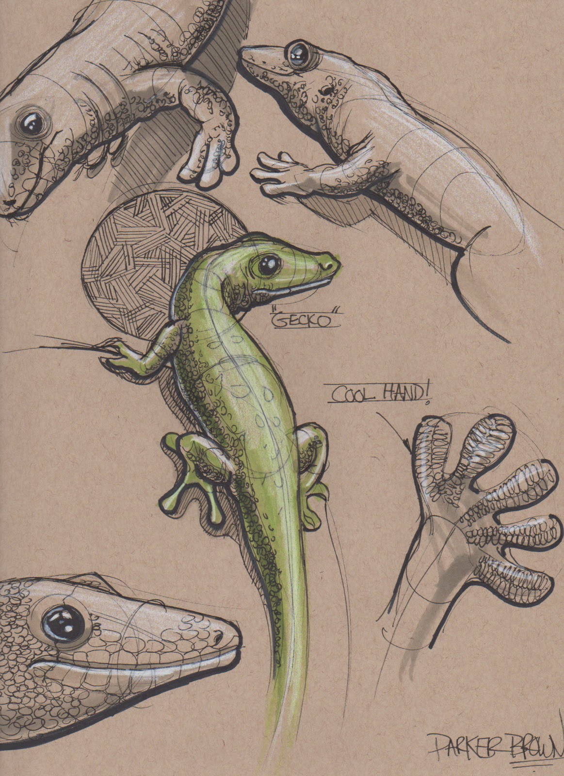 Notes from the Atelier: Gecko!