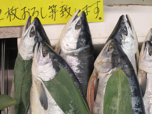 Sapporo Central Fish Market, Hokkaido