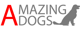 Amazing Dogs