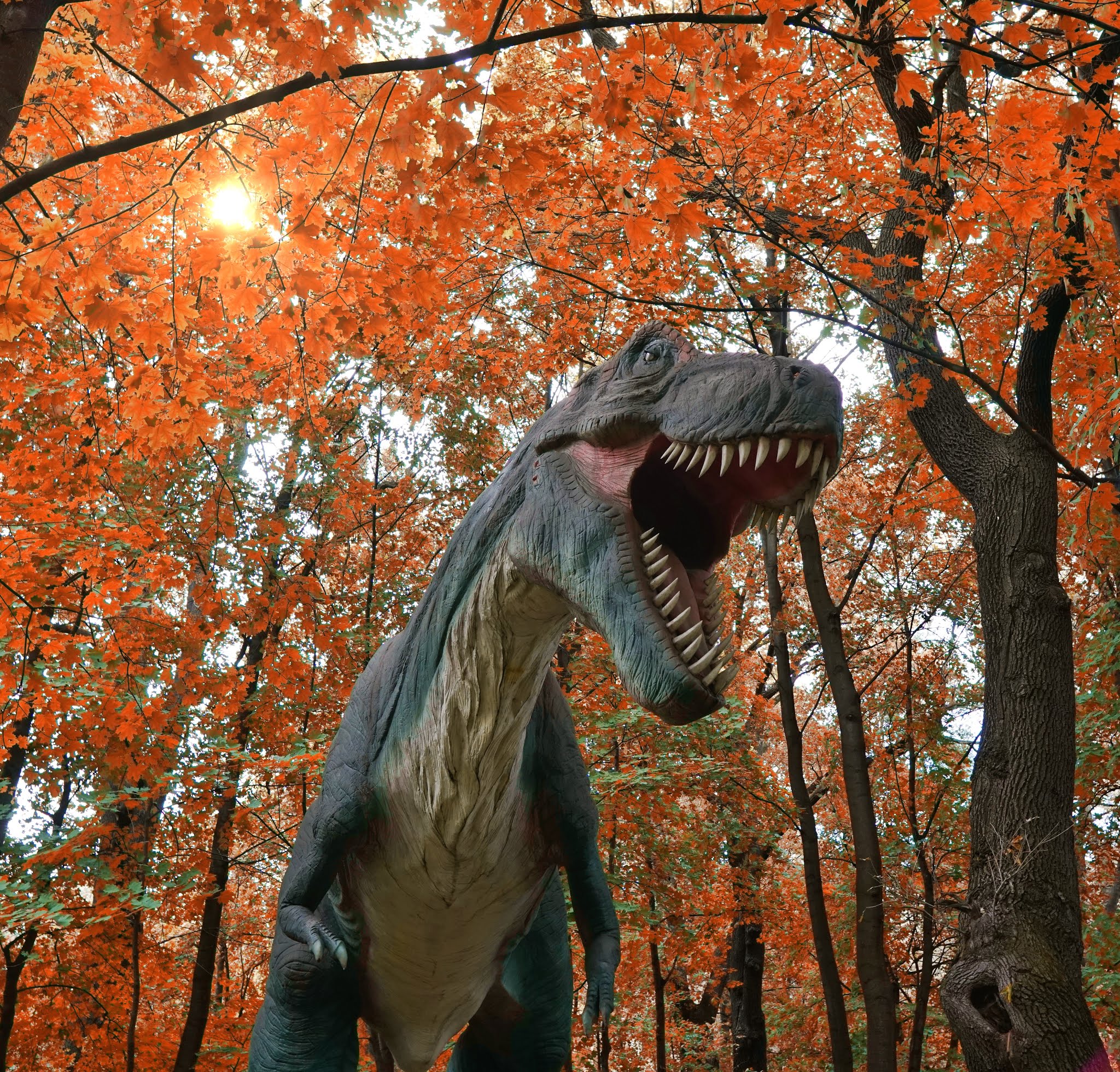 Zatorland w Zatorze - park rozrywki z ruchomymi dinozaurami, ogromnymi owadami, mitycznymi stworzeniami i klasycznym lunaparkiem.