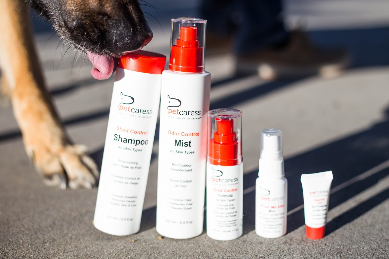 do it yourself divas All Natural Skin Care for Pets