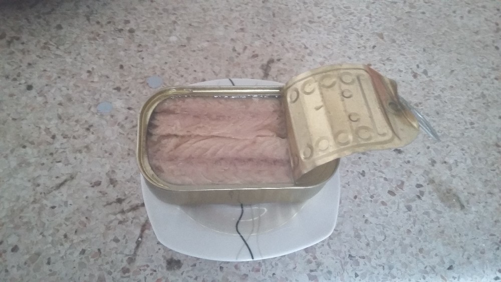 Mackerel from Morocco Canned Product Varieties Mackerel Fish Frozen, Frozen Pacific Mackerel