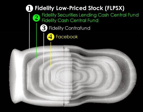 Fidelity Low-Priced Stock FLPSX Russian Nested Doll X-Ray showing Facebook holdings