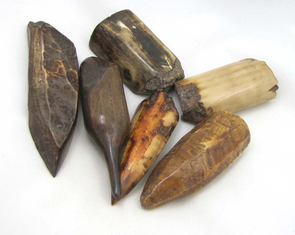 *Numinosity* Walrus Fossil Ivory A Rich Collection