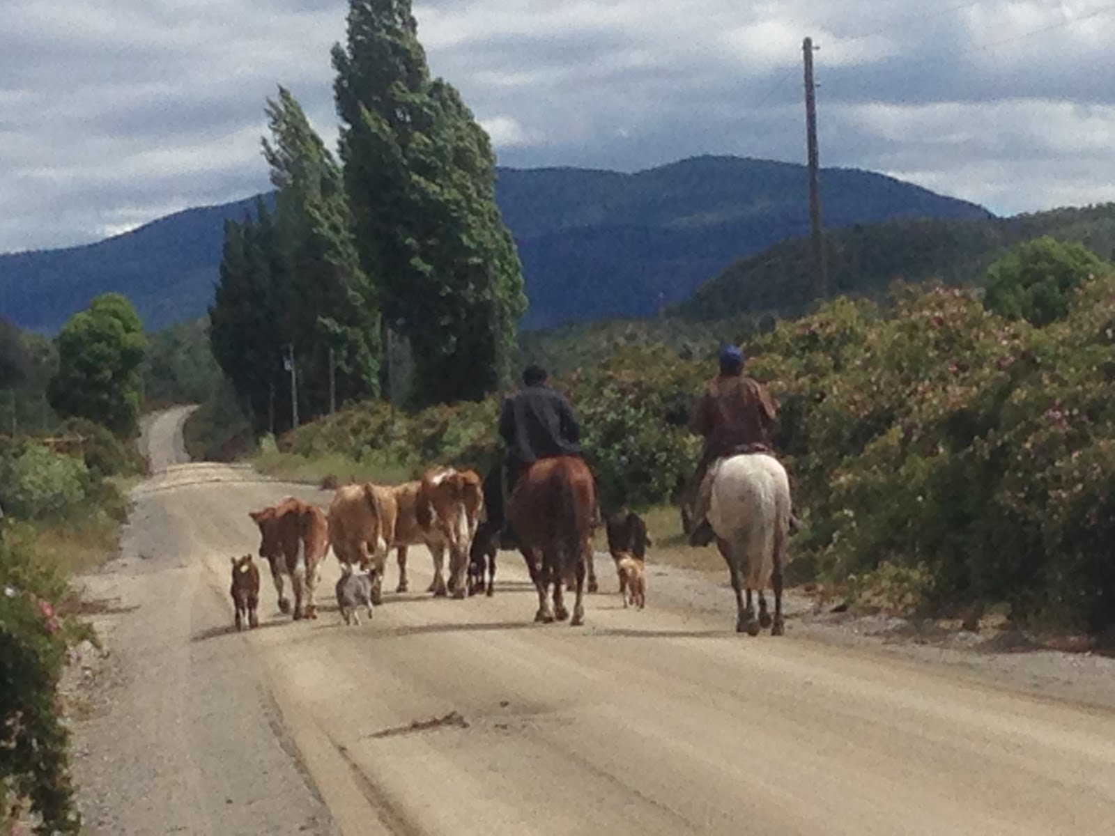 Horsemanship in Patagonia