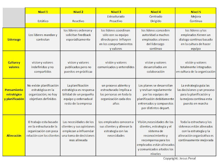 ESQUEMA 38. Matriz Niveles-Magnitudes 1ª Parte