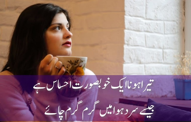 chai shayari tea poetry in urdu sad poetry urdu sad poetry urdu blogger