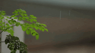 49+ Gambar Animasi Bergerak Lilin Menyala