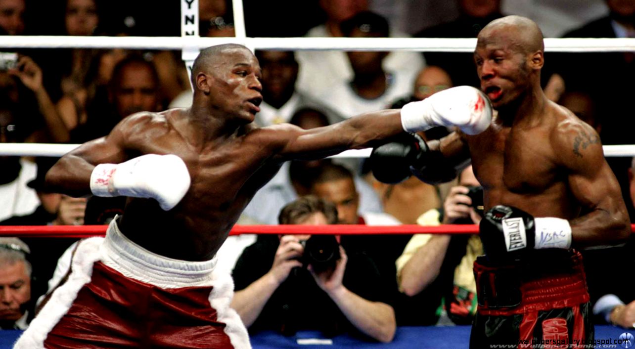 Wallpapers Boxing Mania Sport Floyd Mayweather Vs Zab Judah