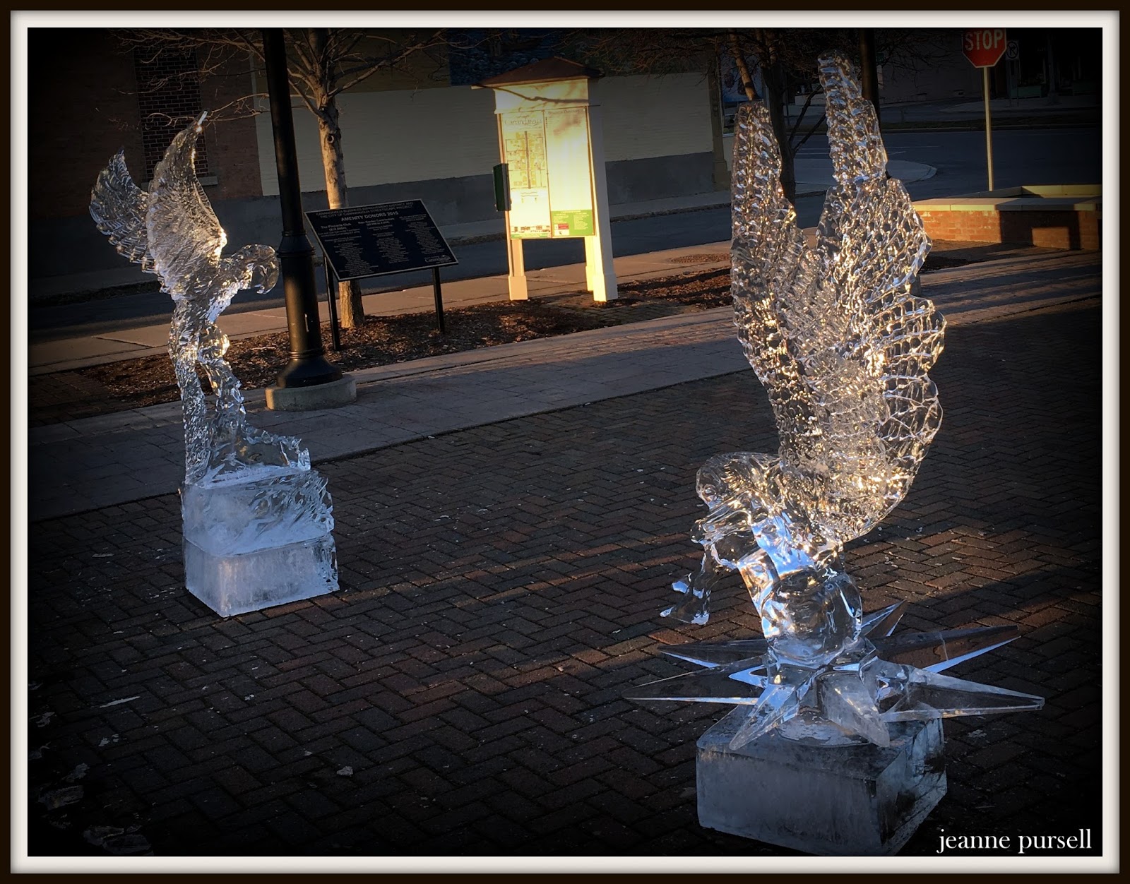 bichonpawz Canandaigua Fire and Ice